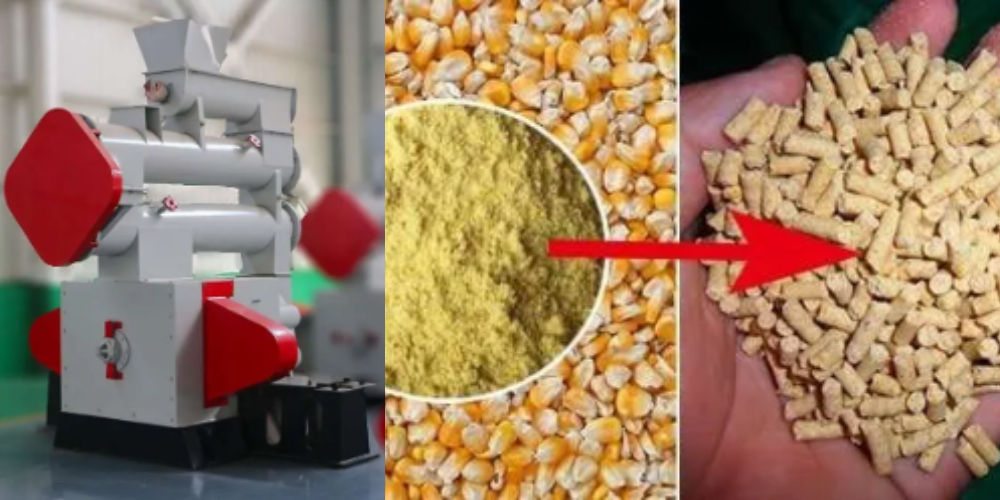 How to Buy Quality Feed Pellet Mill?